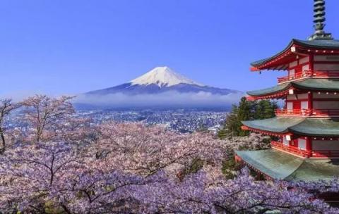 又到賞櫻季！芝麻信用攜手小豬?日本民宿5折起?還可以免押金！