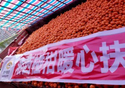 這群人今年在湘西有個3億元的小目標(biāo)