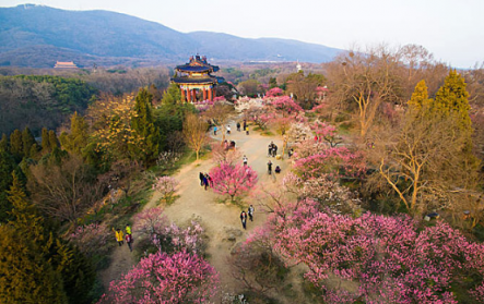 煙花三月，老司機(jī)教你最正確的踏春打開方式！