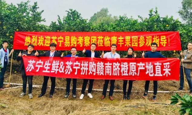 極簡供應鏈打造品質拼購，蘇寧拼購“極簡”背后的智慧