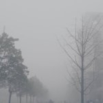 為了保持睡眠的健康，我選擇了它