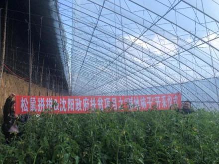 松鼠拼拼攜手沈陽市政府精準(zhǔn)扶貧，共同打造甜蜜事業(yè)