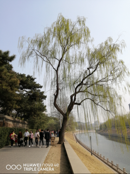 年輕人都愛(ài)的華為nova 4e，立體美顏更智慧