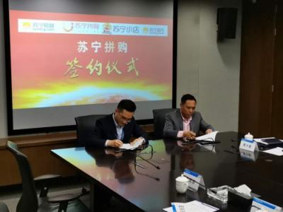 把電商扶貧落到實(shí)處 蘇寧拼購(gòu)與瀘水市政府達(dá)成戰(zhàn)略合作