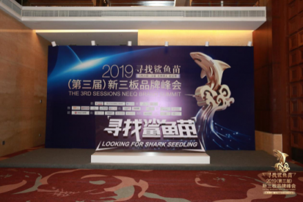 泛融科技參加2019新三板品牌峰會項目路演