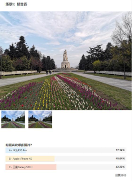外媒測評，三星Galaxy S10+白天拍照效果比華為P30 Pro受歡迎