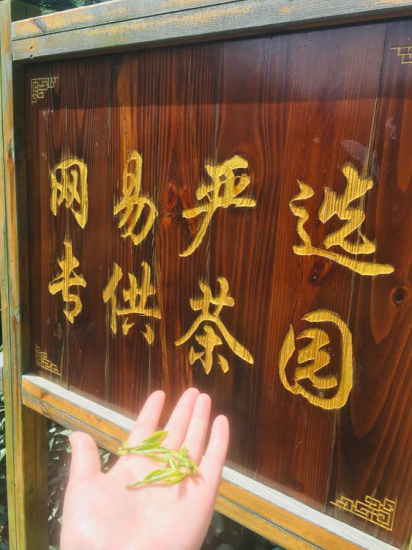 網(wǎng)易嚴選甄選家探訪西湖龍井 攜手優(yōu)質供應商傳播茶文化