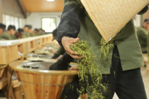 網(wǎng)易嚴選甄選家探訪西湖龍井 攜手優(yōu)質供應商傳播茶文化