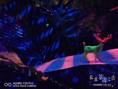 每一個人都可以成為藝術家 華為P30系列開啟未來影像新紀元
