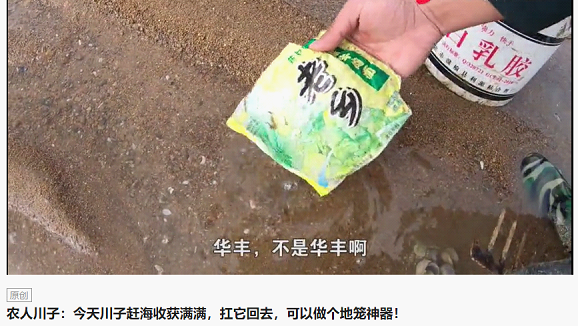 新農(nóng)人川子專拍趕海抓螃蟹，今日頭條粉絲206萬！獲“海鮮搓澡一哥”