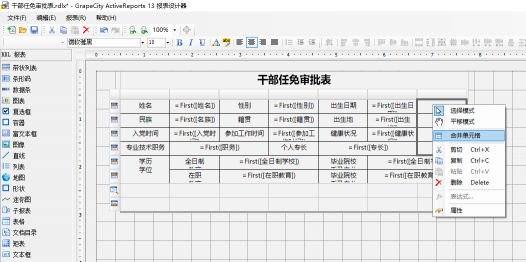驚艷不止于顏值！報(bào)表控件ActiveReports V13.1 正式發(fā)布
