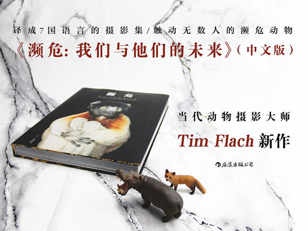 攝影集《瀕?！帆@周迅舒淇發(fā)聲支持，摩點(diǎn)為改善瀕危動(dòng)物生存環(huán)境助力