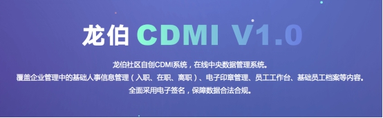 龍伯科技發(fā)布企業(yè)在線管理CDMI系統(tǒng)v1.0