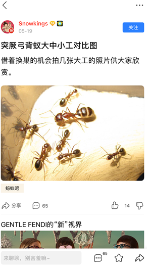 本帥能養(yǎng)30億人、對(duì)螞蟻無(wú)所不知…細(xì)數(shù)百度貼吧那些大神級(jí)人物