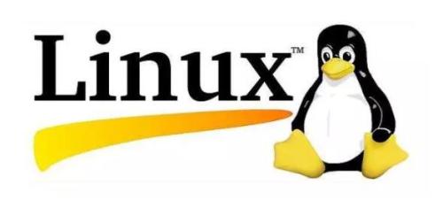 感受開源之美，共享 Linux 的安全與便捷