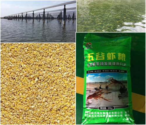 從產(chǎn)地直采到壞蝦包賠，看蘇寧如何做透小龍蝦生意