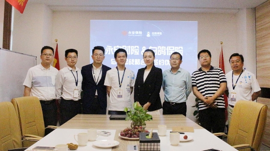 白鴿保險和永安保險強(qiáng)強(qiáng)聯(lián)合布局全國保險市場