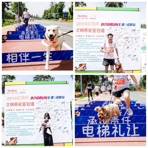 奔跑吧紅狗杯，千名寵友攜652只狗狗狂歡六一