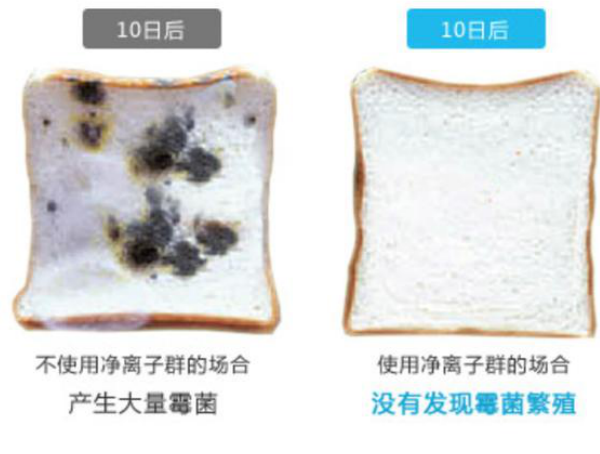 夏普PCI設(shè)備銷售成功超8000萬臺(tái) 高科技守護(hù)健康生活