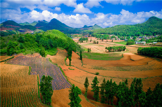 平臺(tái)推動(dòng)農(nóng)業(yè)化產(chǎn)業(yè)升級(jí)，拼多多式的供給側(cè)變革