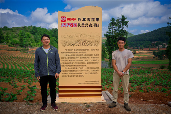 平臺(tái)推動(dòng)農(nóng)業(yè)化產(chǎn)業(yè)升級(jí)，拼多多式的供給側(cè)變革