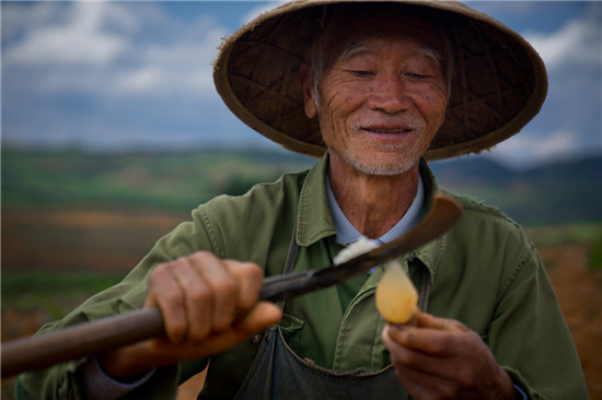 平臺(tái)推動(dòng)農(nóng)業(yè)化產(chǎn)業(yè)升級(jí)，拼多多式的供給側(cè)變革