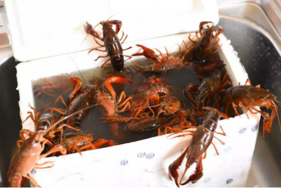 618央視聚焦小龍蝦 蘇寧洪湖原產(chǎn)地直采銷(xiāo)售激增387%獲認(rèn)可
