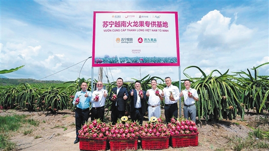 水果“漲聲一片”？蘇寧快消助你“水果自由”