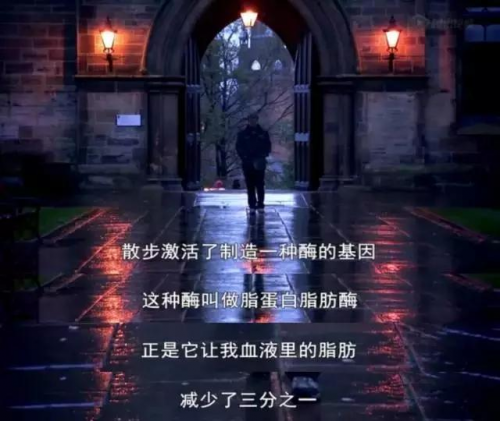 如何打破“每逢放假胖三斤”的魔咒？Garmin教你見招拆招