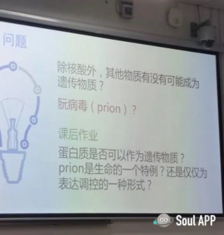 Soul App上閃閃發(fā)光的普通人，點(diǎn)燃溫情瞬間