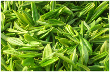 還在為冰箱串味異味煩惱？創(chuàng)維冰箱輕松解決！