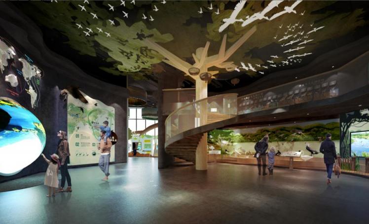 絲路視覺力作，深圳紅樹林生態(tài)科普展館正式對外開放