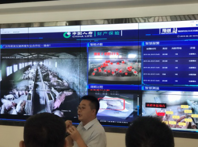 德陽廣漢兩級市委領(lǐng)導帶隊調(diào)研“廣漢市數(shù)字鄉(xiāng)村運營支持中心”