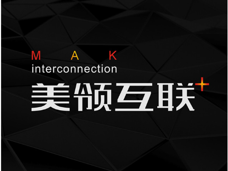美領互聯(lián)：互聯(lián)網(wǎng)能力共享平臺引領未來