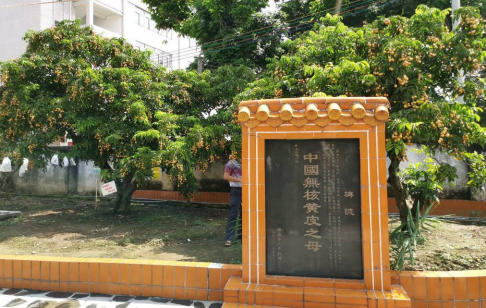 郁南無(wú)核黃皮：八旬母樹(shù)引客來(lái) 一大產(chǎn)業(yè)助發(fā)展