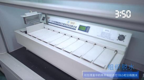 引爆冰箱行業(yè)的“微晶一周鮮”大揭秘！美的微晶冰箱如何做到“不凍原鮮，口感如初”？