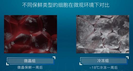 引爆冰箱行業(yè)的“微晶一周鮮”大揭秘！美的微晶冰箱如何做到“不凍原鮮，口感如初”？