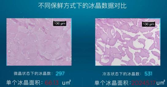 引爆冰箱行業(yè)的“微晶一周鮮”大揭秘！美的微晶冰箱如何做到“不凍原鮮，口感如初”？