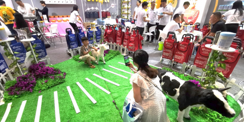 第19屆CBME完美收官，多加多國(guó)際喜獲豐收