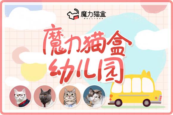 養(yǎng)貓新手“標配”！魔力貓盒幼兒園幫你避開養(yǎng)貓雷區(qū)
