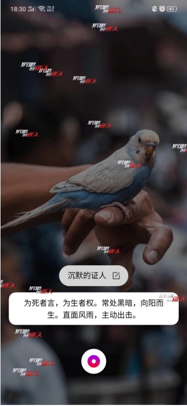 Breeno語(yǔ)音X電影《沉默的證人》，跨界合作帶來(lái)電影體驗(yàn)升級(jí)，“沉默的證人”不再沉默