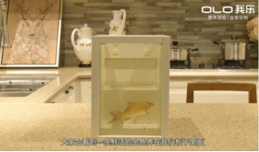 我樂(lè)櫥柜好不好？答案其實(shí)很明顯