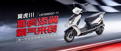 立馬電動(dòng)車運(yùn)動(dòng)款 騎上它們，我要“飄”！
