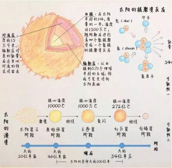 77%的父親都遺漏了這一點，悅寶園幫你巧支招
