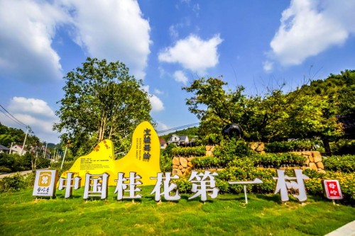 桐廬舊縣第四屆金秋桂花旅游文化節(jié)開幕