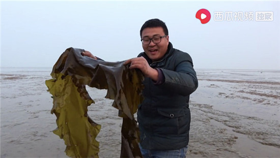 惹河豚生氣、遭八爪魚噴墨，趕海人在西瓜視頻上演現(xiàn)實(shí)版“老人與?！?/></p><p>在西瓜視頻上像川子這樣的創(chuàng)作者還有很多，他們從海邊，從灶臺(tái)前，從高樓大廈中走出來，走到這一方屏幕前，分享知識(shí)、分享技能、分享人生。西瓜視頻相關(guān)負(fù)責(zé)人表示，希望“人人都是生活的主角”不再只是一句口號(hào)，我們希望西瓜視頻能讓每一個(gè)心懷夢想的普通人得以展現(xiàn)自己的才華，也讓大家看到更大更美好的世界。</p>              	<p style=