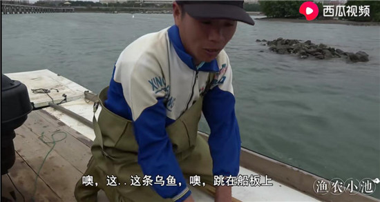 烏魚(yú)主動(dòng)上船、魚(yú)蝦講究體面，“姜太公”式打漁走紅西瓜視頻