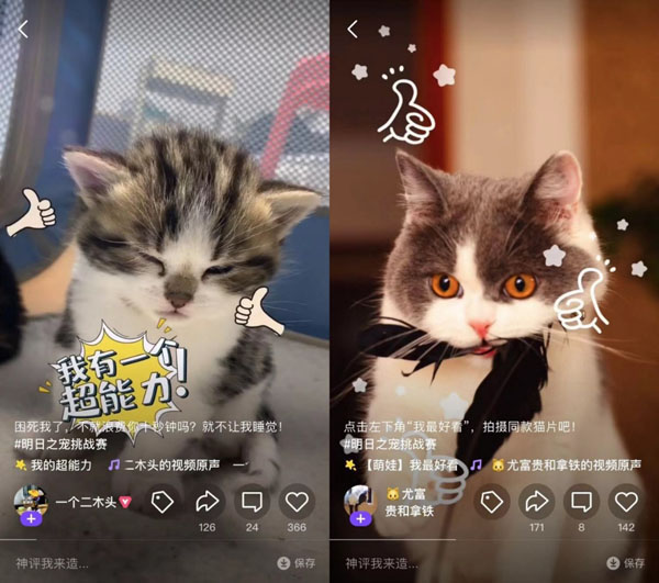 騰訊微視上線首屆萌寵大賽，多重福利帶動(dòng)用戶玩轉(zhuǎn)萌寵短視頻