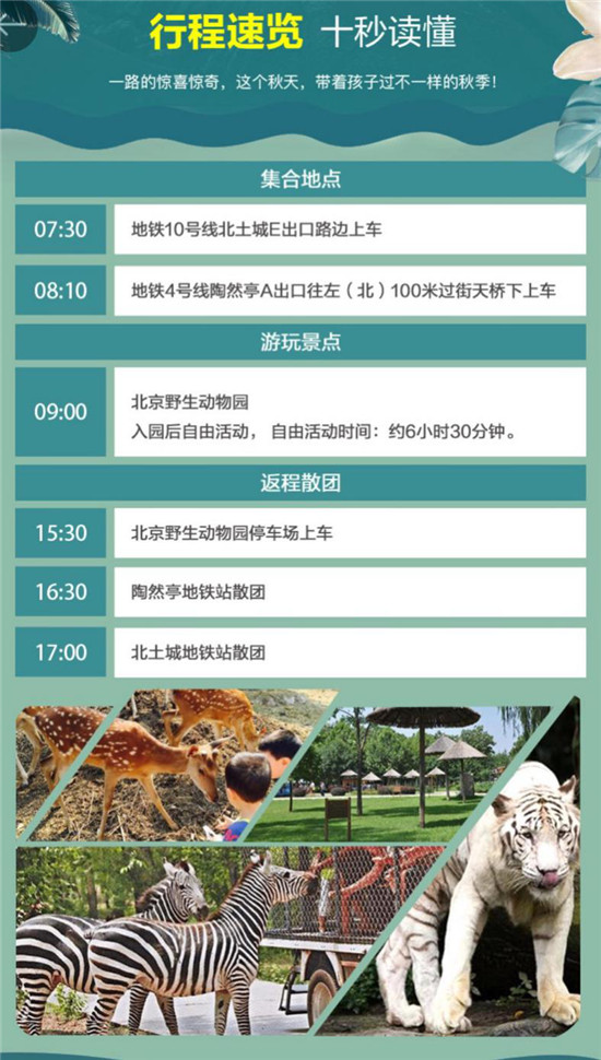 1小時舒適直達(dá)北京野生動物園 首汽約車巴士直通車來啦！