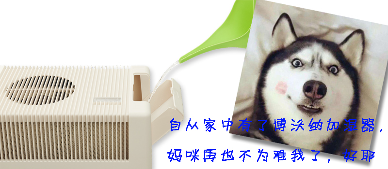 博沃納：一個月只需要按下一次開關(guān)的加濕器
